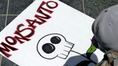 Ellos los de arriba: Monsanto, sembrando la semilla de la muerte