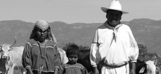 Anuncia Brigada Callejera presentación de libro sobre salud reproductiva para comunidades indigenas