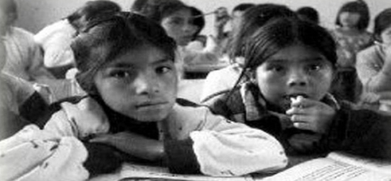 Educación pública y neoliberalismo
