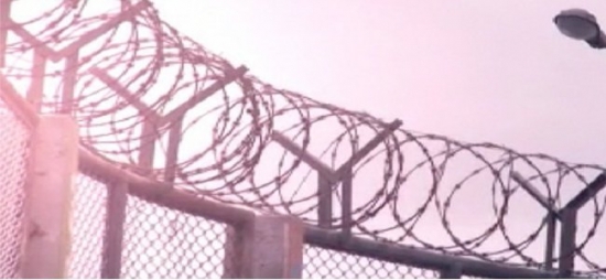 Comunicado de la Voz del Amate, su estado fisico