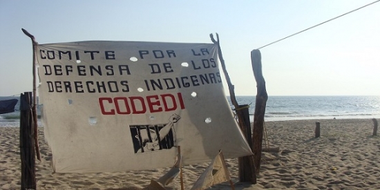 &quot;Festival playa y libertad&quot; por la autonomía y la defensa del territorio