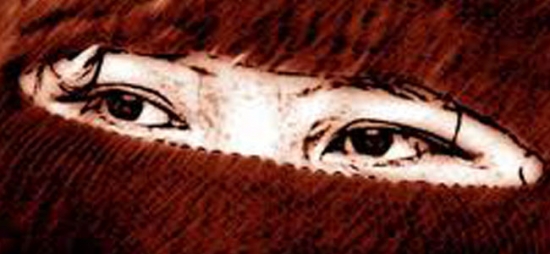 EL EZLN ANUNCIA SUS PASOS SIGUIENTES. Comunicado del 30 de diciembre del 2012