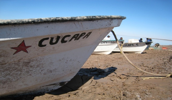 Reporte desde el Campamento Cucapá en Baja California
