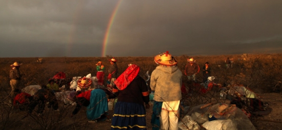Jornada de Movilización Salvemos Wirikuta, Corazón Sagrado de México