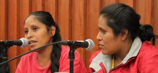 COMUNICADO: PGJM remite al fuero civil investigaciones de los casos de Inés Fernández y Valentina Rosendo‏