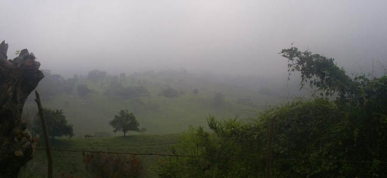 Desalojan y encarcelan a Campesinos de Ixhuatlán de Madero después de la  toma de tierras