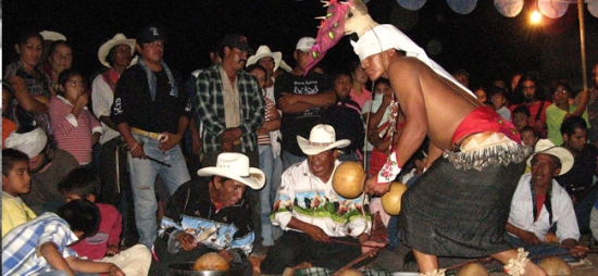 Nueva agresión a la Tribu Yaqui