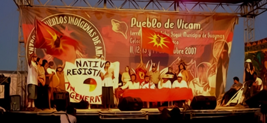 515 años de resistencia: Vicam teje el encuentro de la sombra y la luz